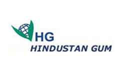 Hindustan Gum & Chemical Ltd.